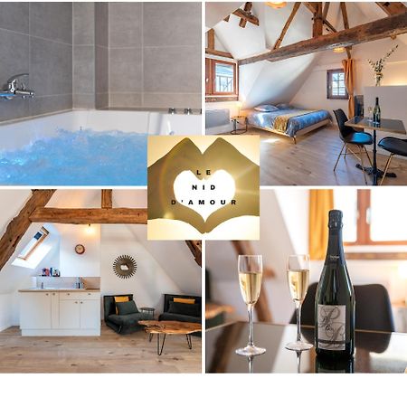 Centre-Ville Le Nid D'Amour Jacuzzi Appartement Rouen Zewnętrze zdjęcie